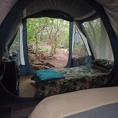 Adorable Unique Guest House - African Bush Feel Kalkheuvel Eksteriør bilde