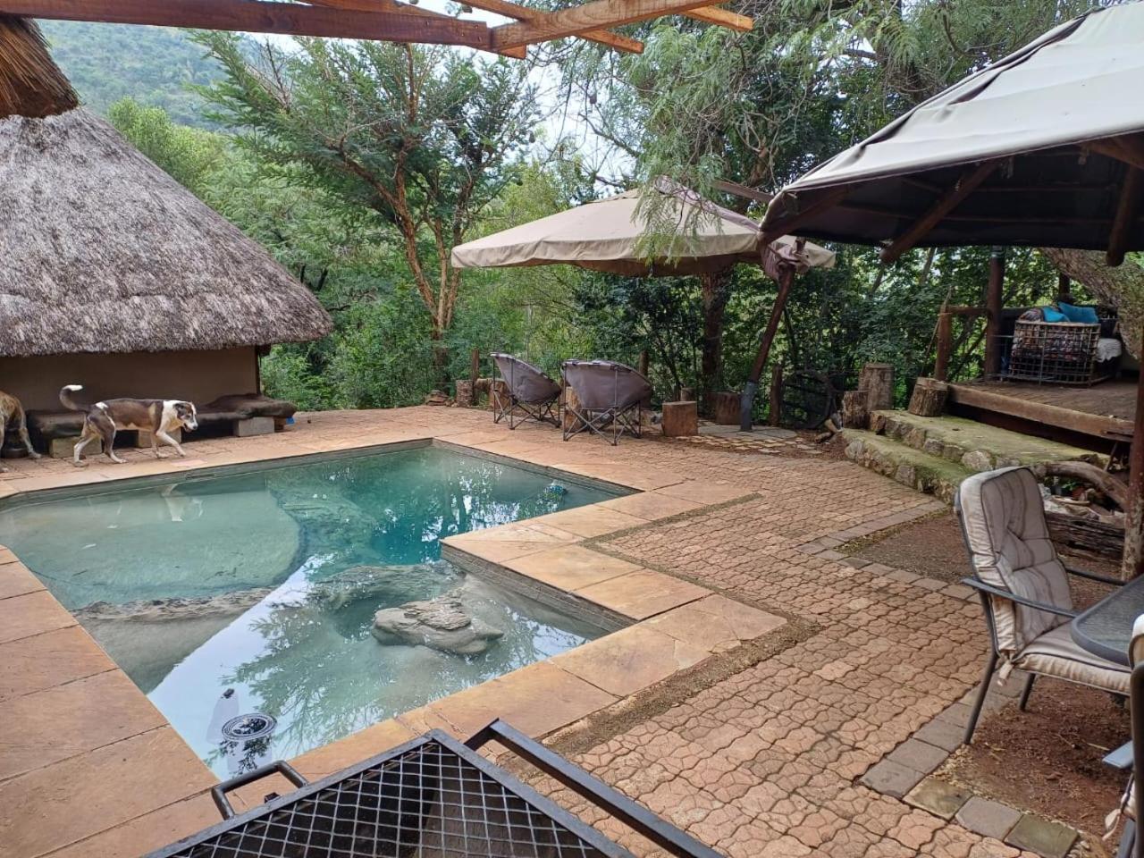 Adorable Unique Guest House - African Bush Feel Kalkheuvel Eksteriør bilde